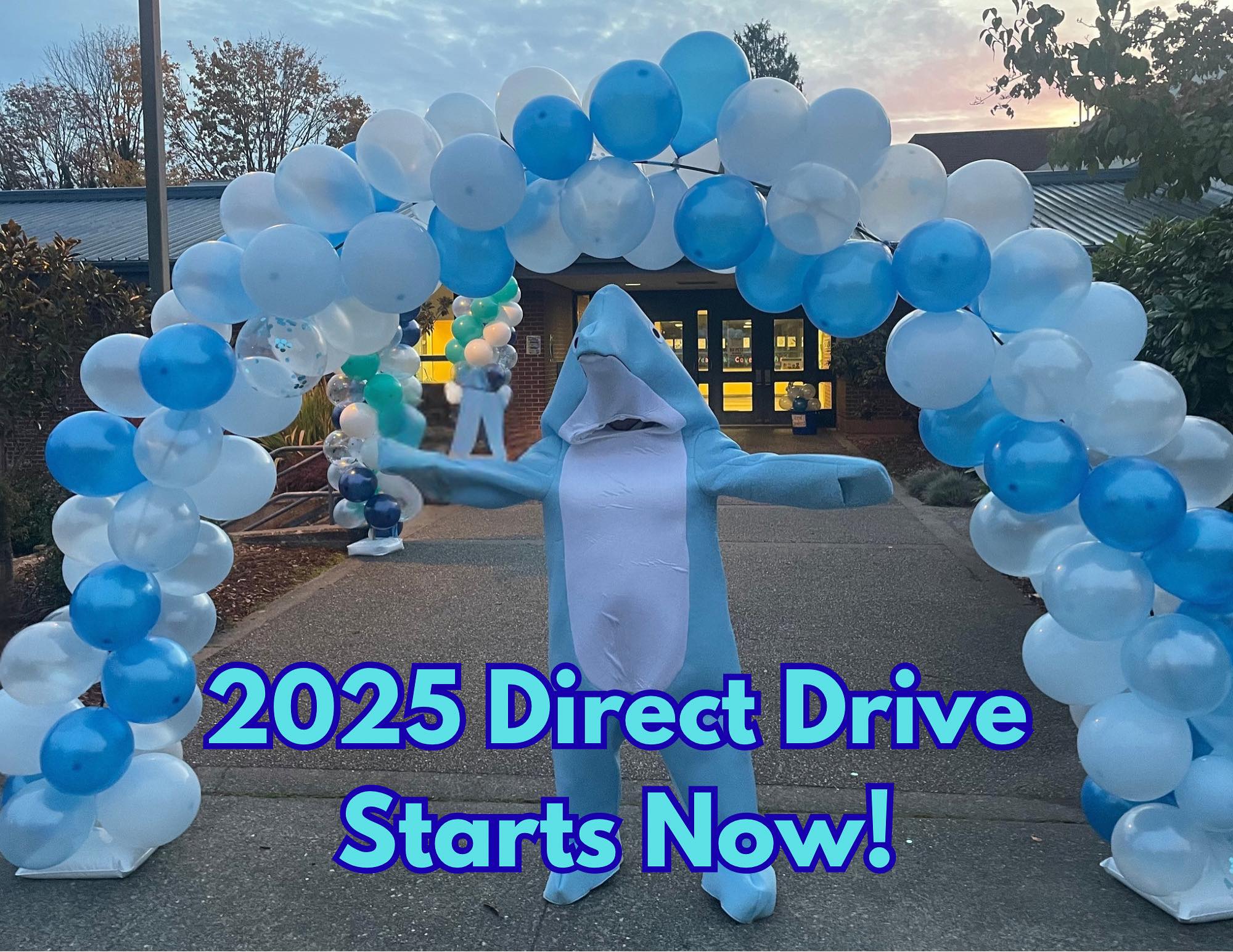 2025 Direct Drive Starts Now! over phot of Lu the dolpin in front of a balloon arch.